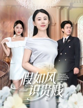 假如風(fēng)識貴賤