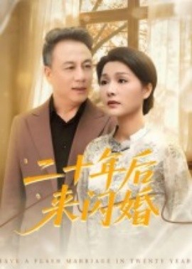 二十年后來閃婚